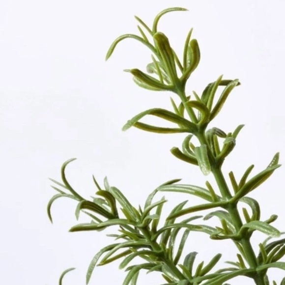 NWT Faux Rosemary Tree - Threshold designed with Studio McGee - Picture 3 of 8